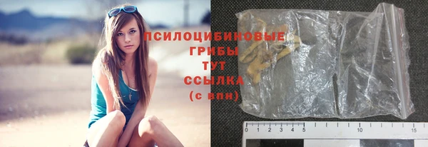 не бодяженный Весьегонск